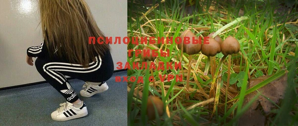 МДПВ Богородск