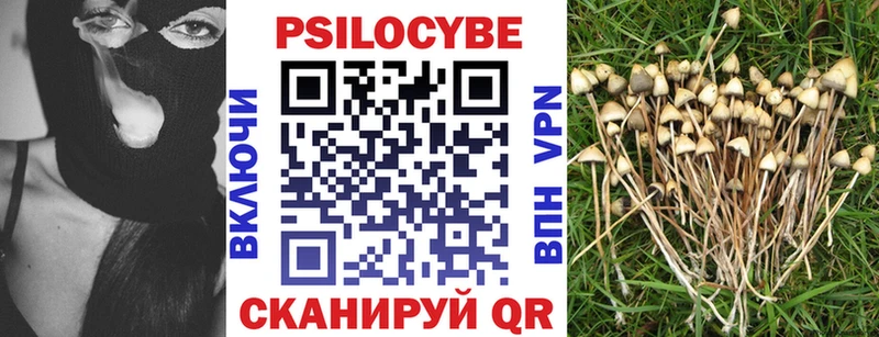 купить  сайты  Кореновск  Галлюциногенные грибы Cubensis 